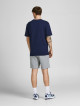 Чоловічі трикотажні шорти Jack & Jones світло-сірого кольору
